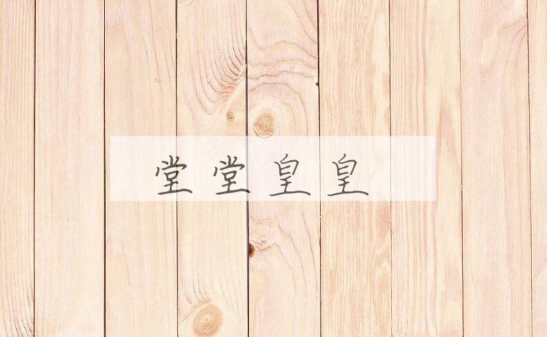 成语堂堂皇皇是什么意思？
