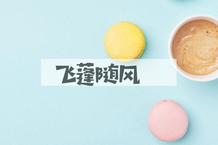 成语飞蓬随风是什么意思？