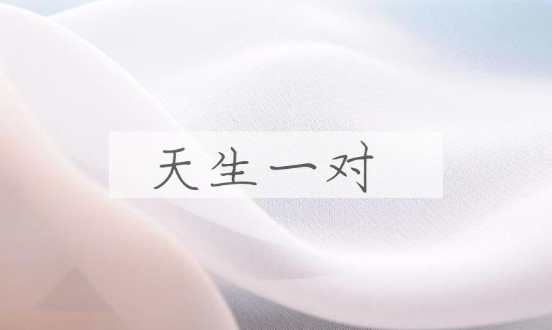 成语天生一对是什么意思？