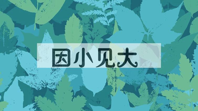 成语因小见大是什么意思？