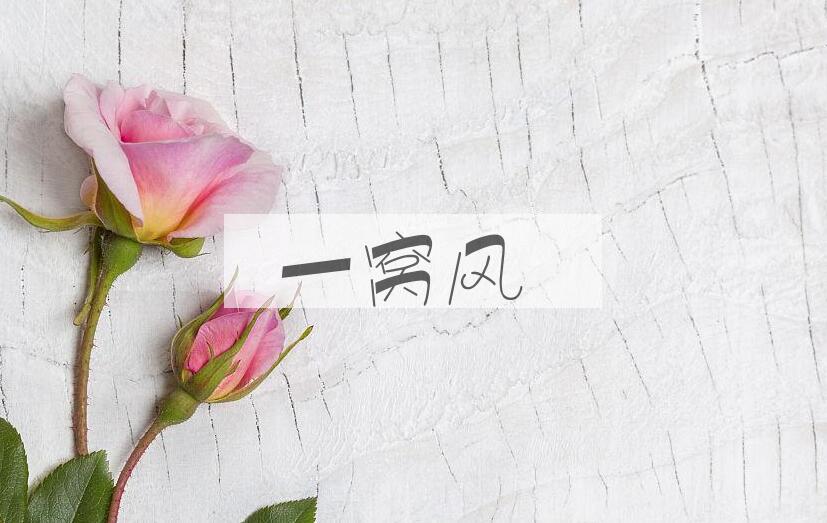 成语一窝风是什么意思？