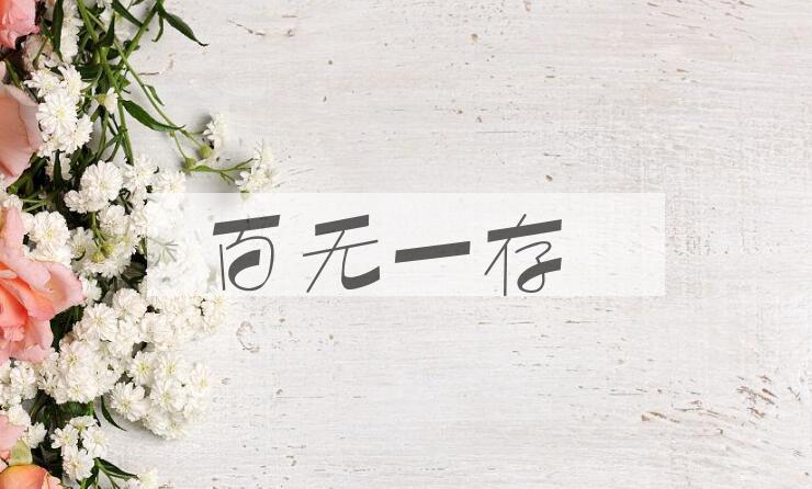 成语百无一存是什么意思？