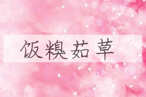 成语饭糗茹草是什么意思？