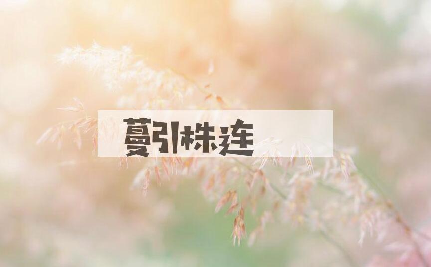 成语蔓引株连是什么意思？