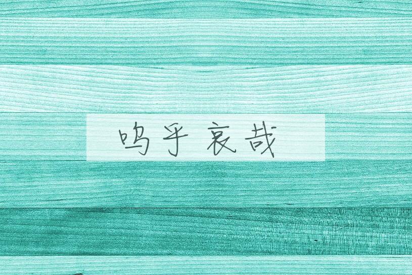 成语呜乎哀哉是什么意思？