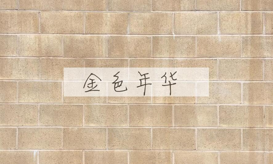 成语金色年华是什么意思？