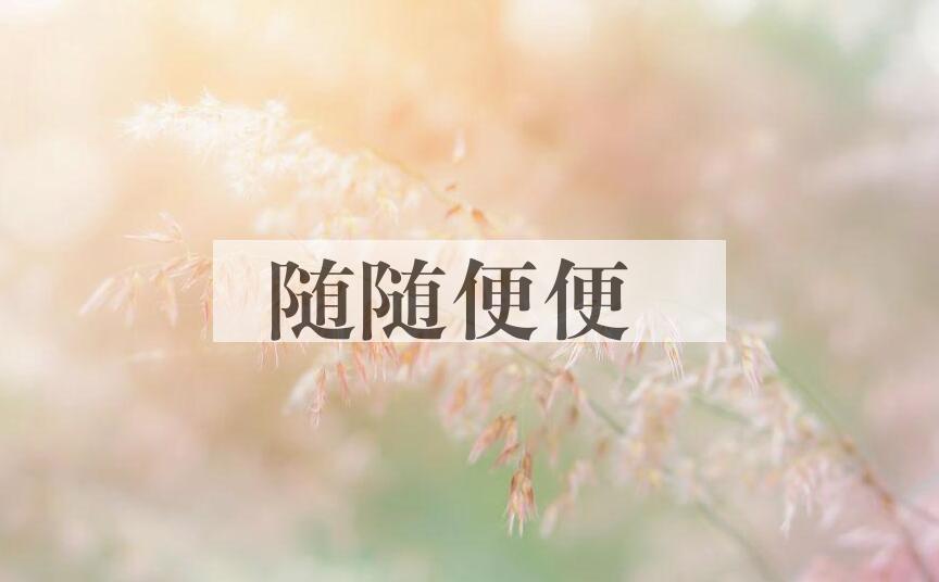 成语随随便便是什么意思？