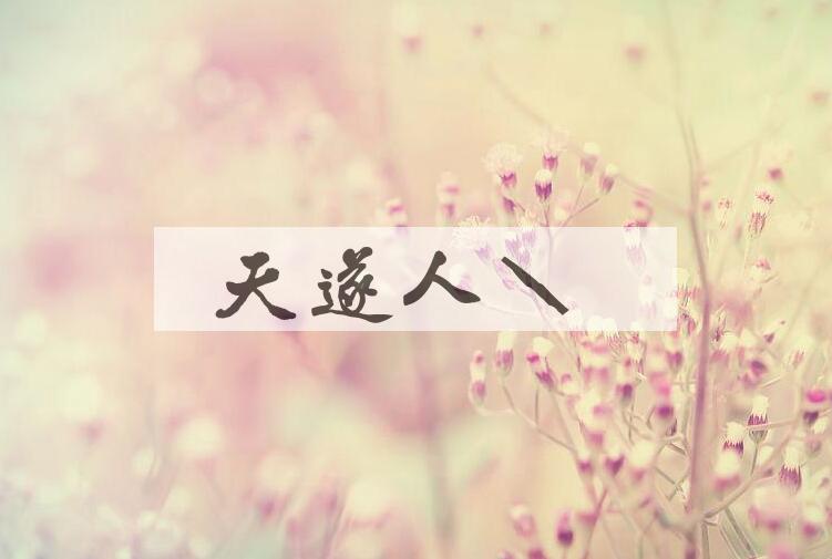 成语天遂人愿是什么意思？