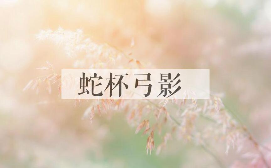 成语蛇杯弓影是什么意思？