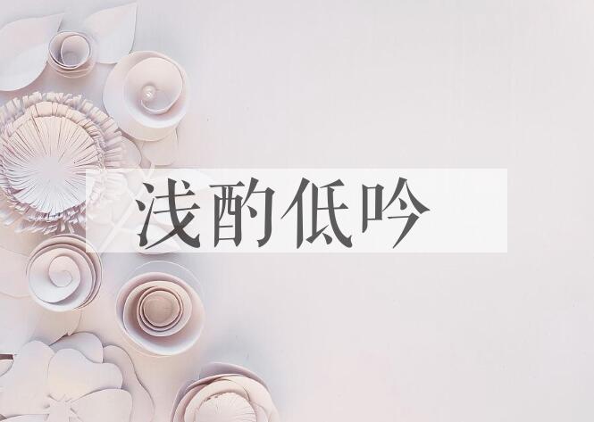 成语浅酌低吟是什么意思？