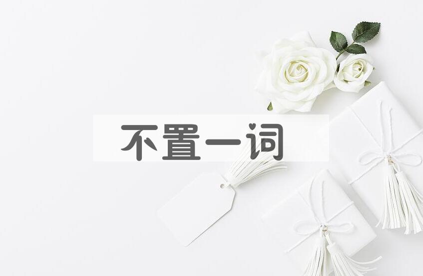 成语不置一词是什么意思？