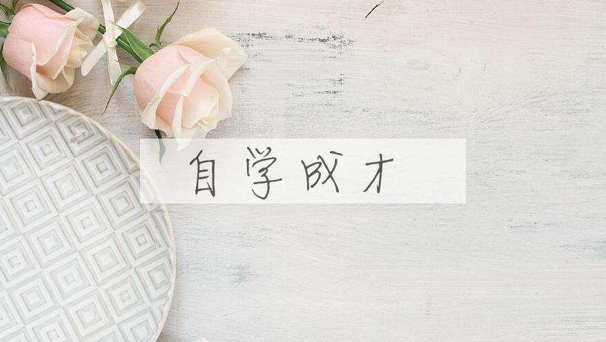 成语自学成才是什么意思？