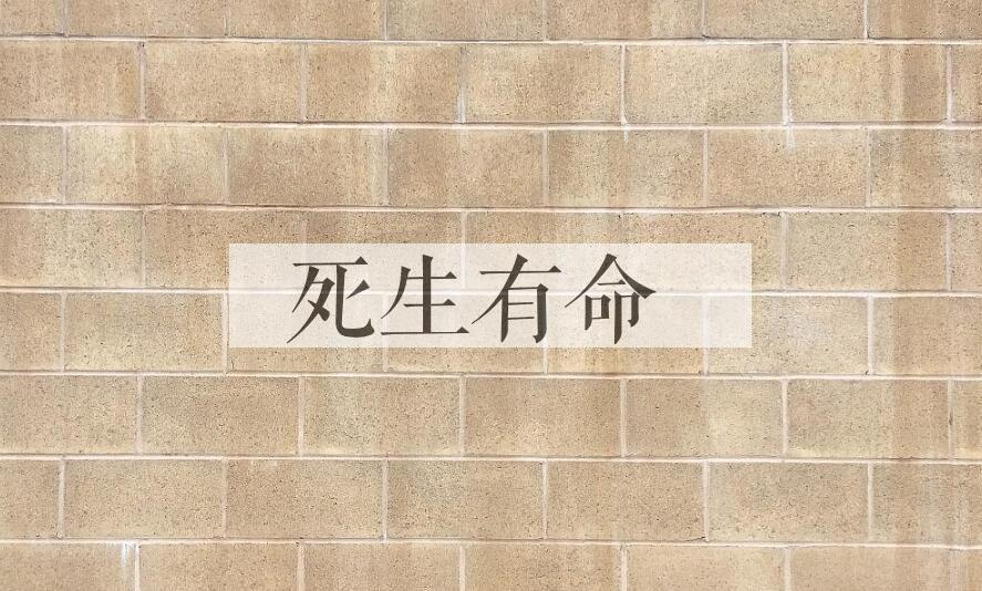 成语死生有命是什么意思？
