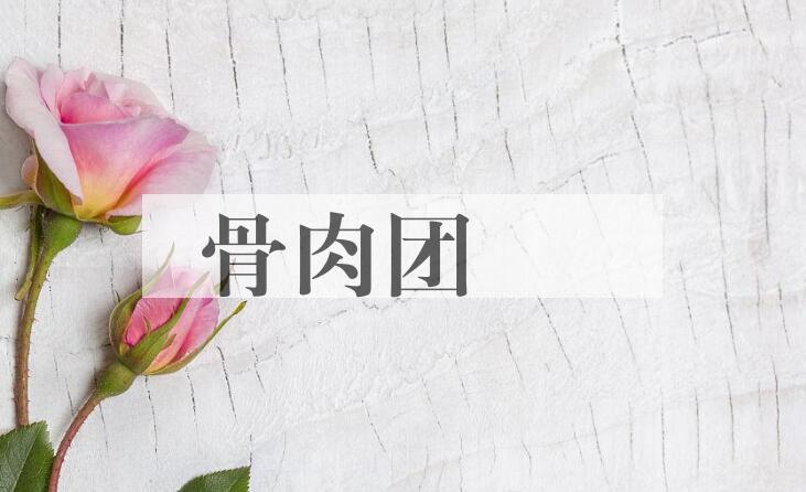 成语骨肉团圞是什么意思？
