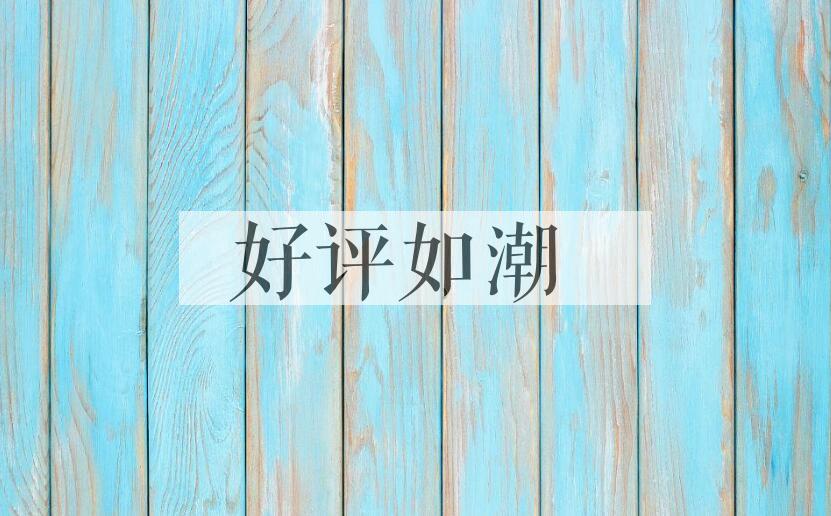 成语好评如潮是什么意思？