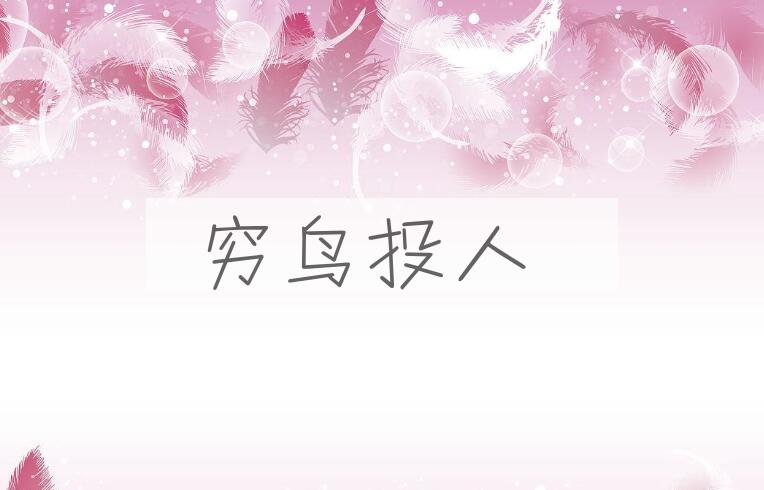 成语穷鸟投人是什么意思？