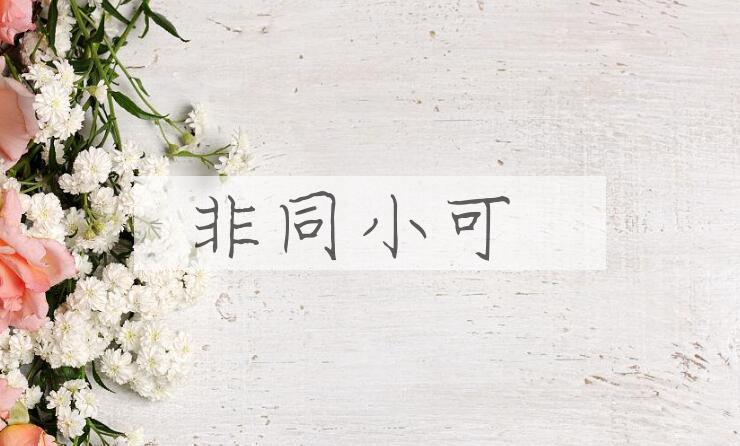 成语非同小可是什么意思？