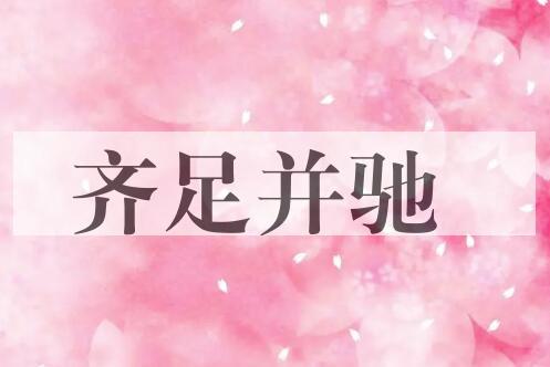 成语齐足并驰是什么意思？