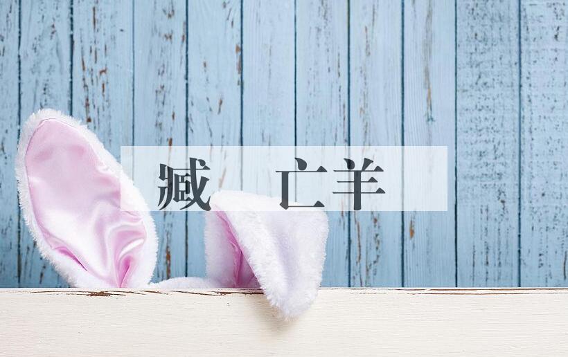 成语臧穀亡羊是什么意思？