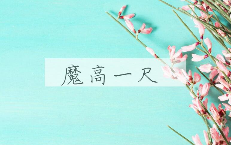 成语魔高一尺是什么意思？