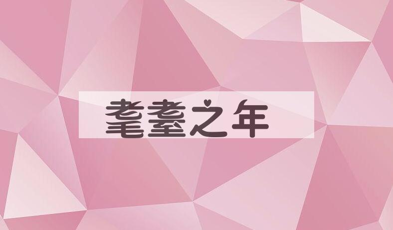 成语耄耋之年是什么意思？