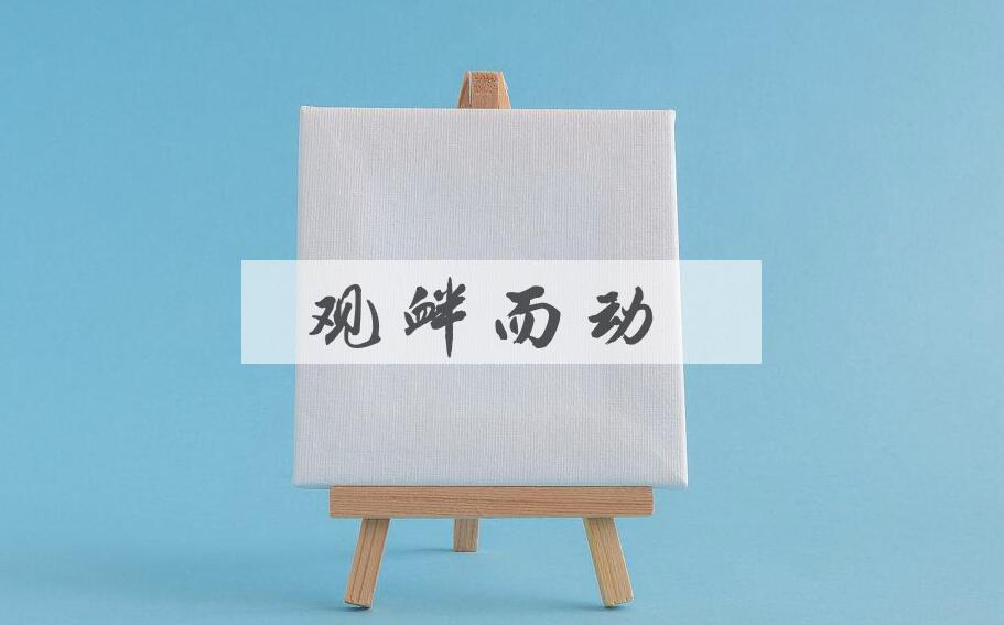 成语观衅而动是什么意思？