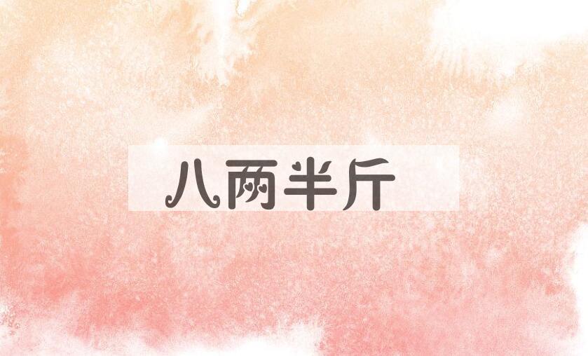 成语八两半斤是什么意思？
