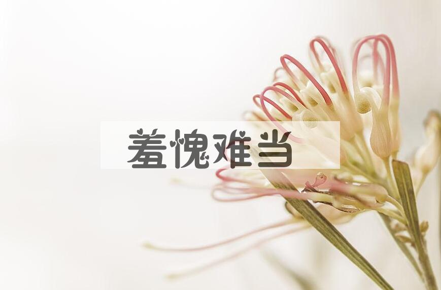 成语羞愧难当是什么意思？