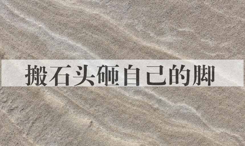 成语搬石头砸自己的脚是什么意思？