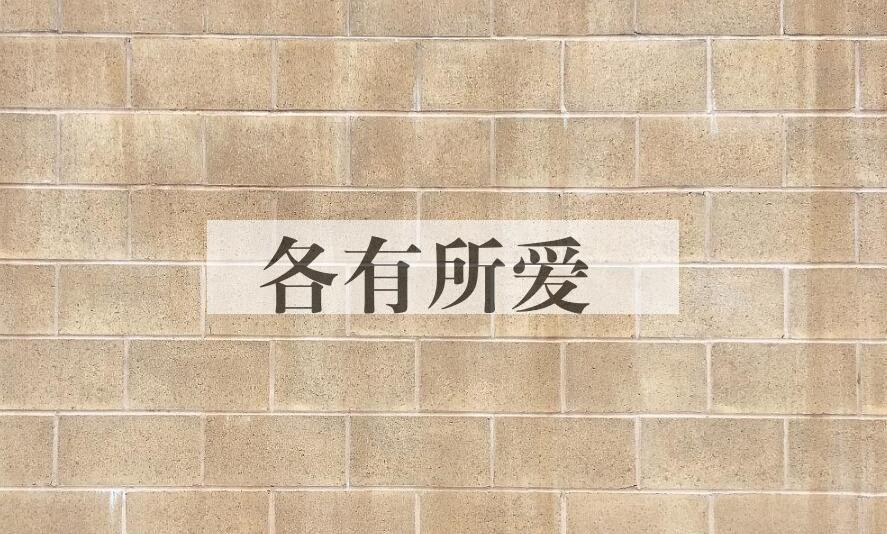 成语各有所爱是什么意思？