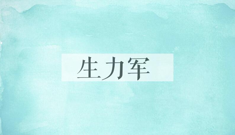 成语生力军是什么意思？