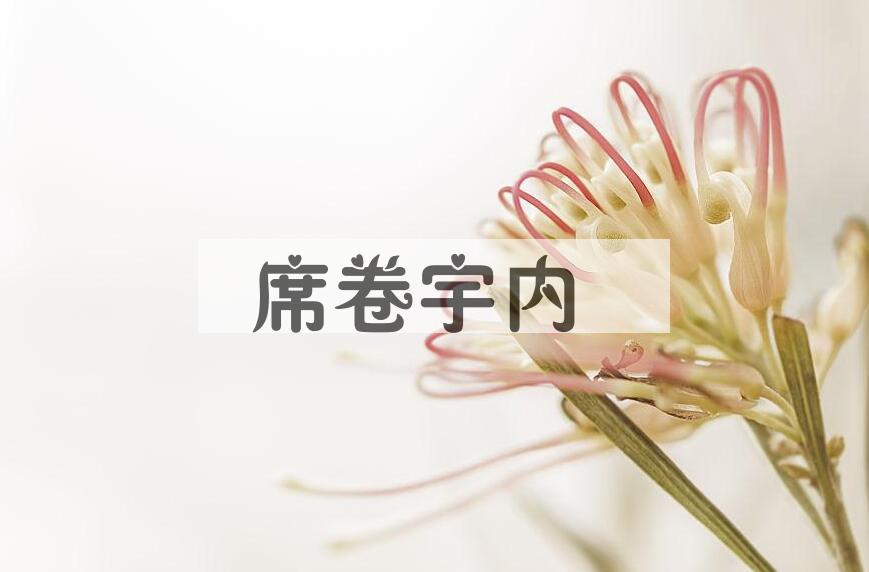 成语席卷宇内是什么意思？