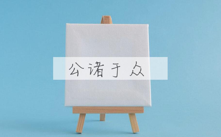 成语公诸于众是什么意思？