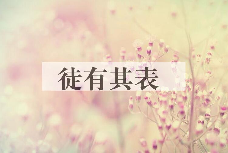 成语徒有其表是什么意思？