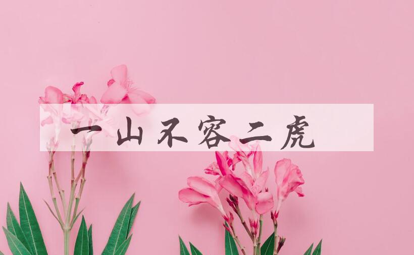 成语一山不容二虎是什么意思？