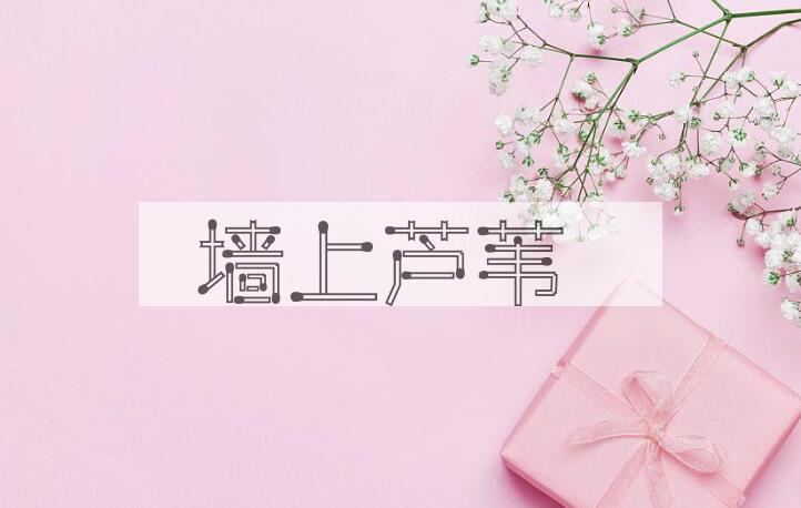 成语墙上芦苇是什么意思？