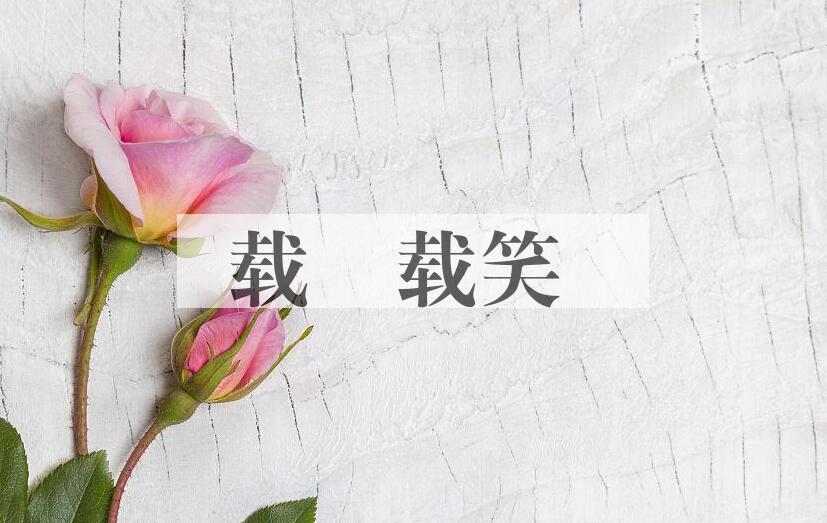 成语载懽载笑是什么意思？