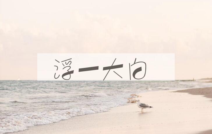 成语浮一大白是什么意思？