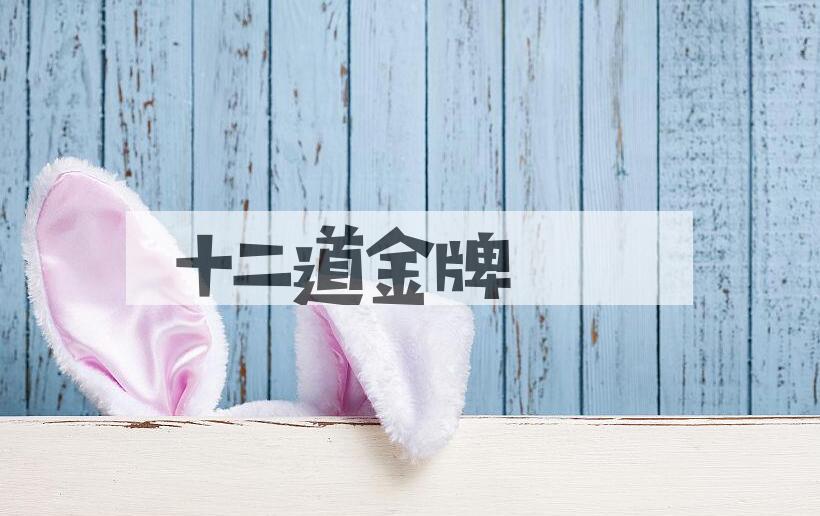 成语十二道金牌是什么意思？