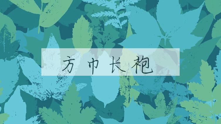 成语方巾长袍是什么意思？