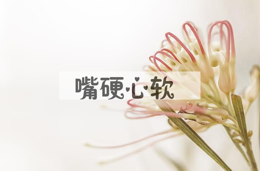 成语嘴硬心软是什么意思？