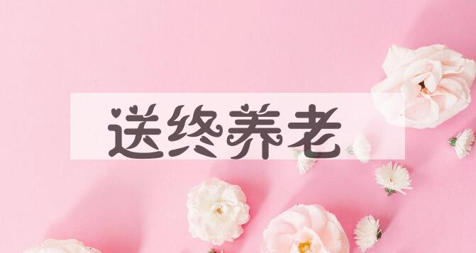 成语送终养老是什么意思？