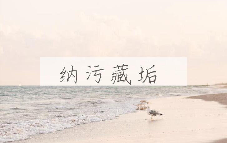 成语纳污藏垢是什么意思？