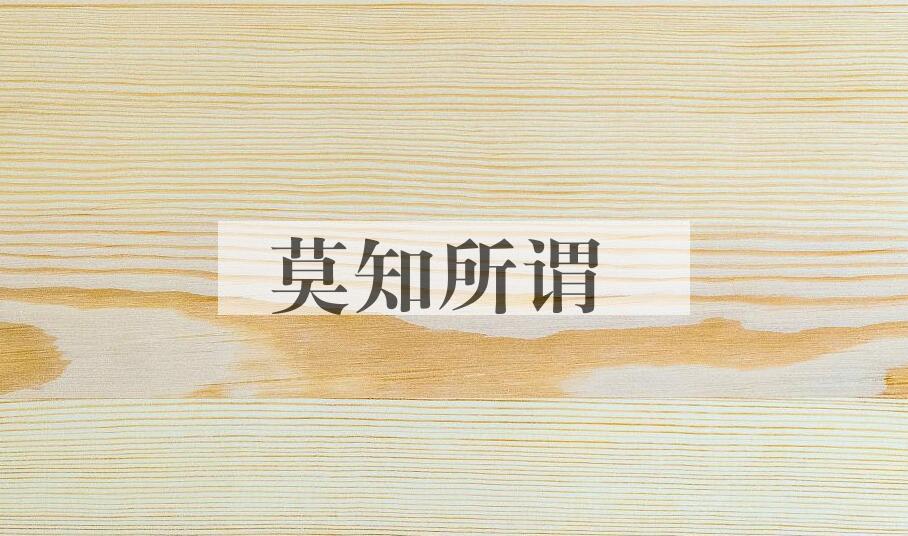 成语莫知所谓是什么意思？