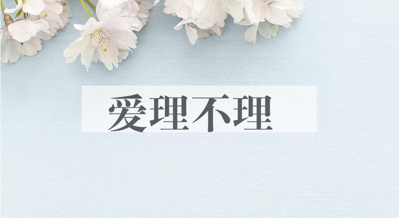 成语爱理不理是什么意思？