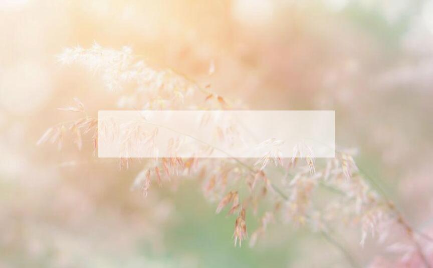 成语娉娉袅袅是什么意思？