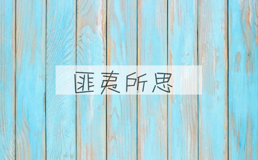 成语匪夷所思是什么意思？