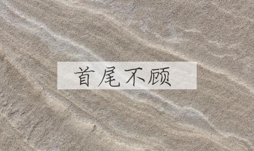 成语首尾不顾是什么意思？