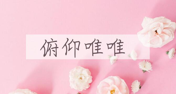 成语俯仰唯唯是什么意思？