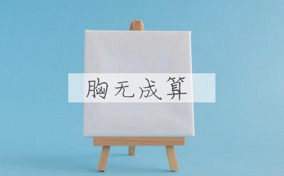 成语胸无成算是什么意思？